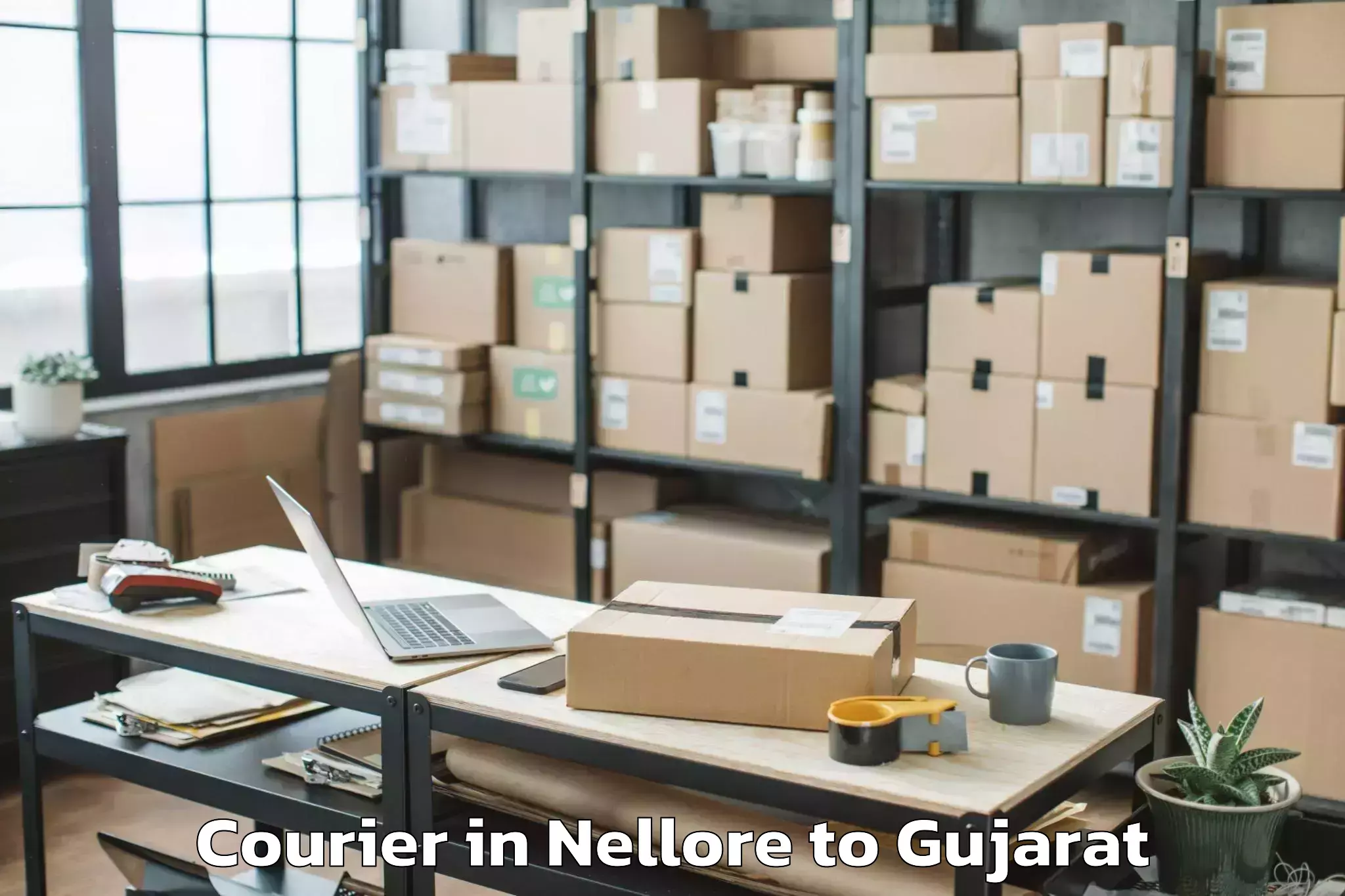 Get Nellore to Mahudha Courier